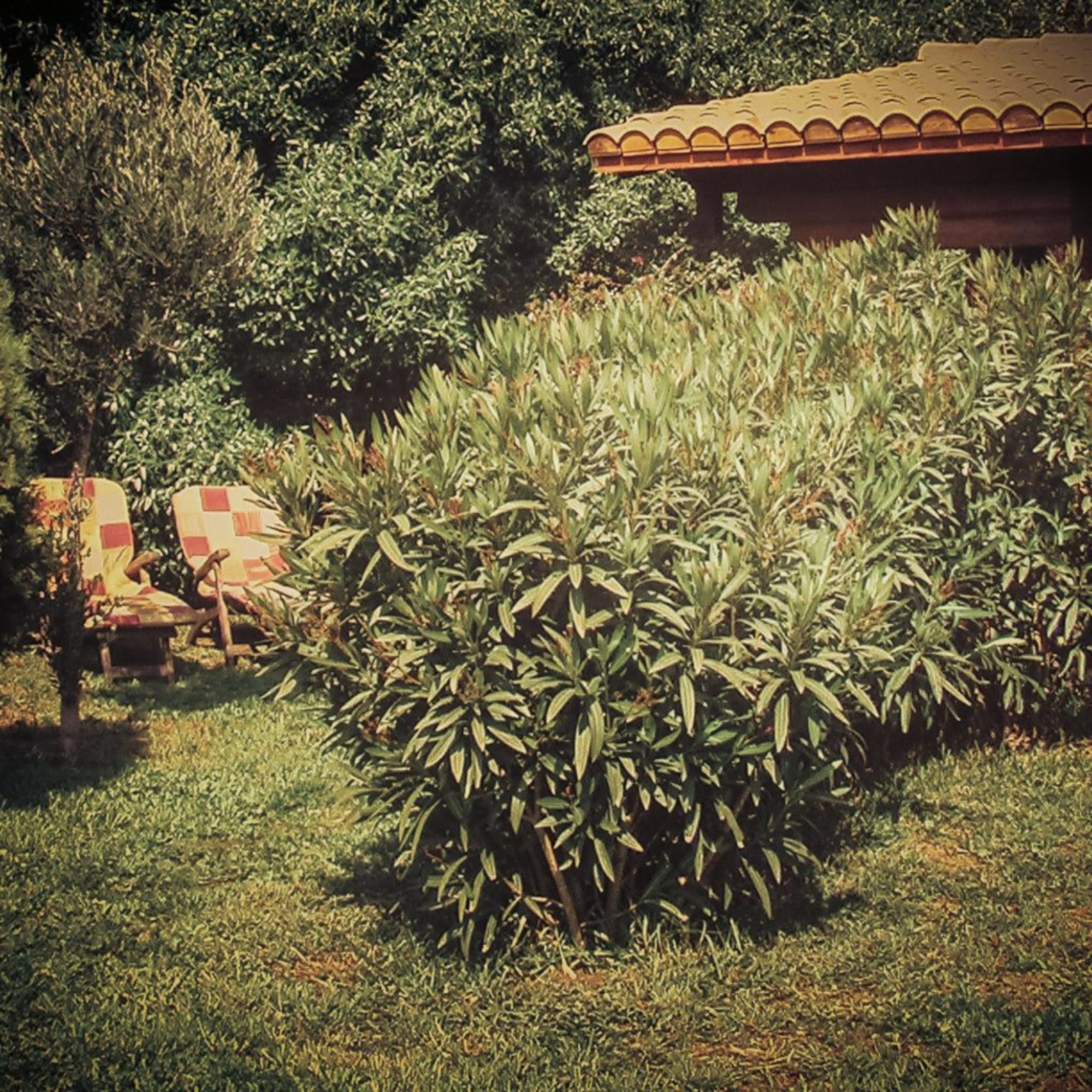 Finca Haus Facebook
