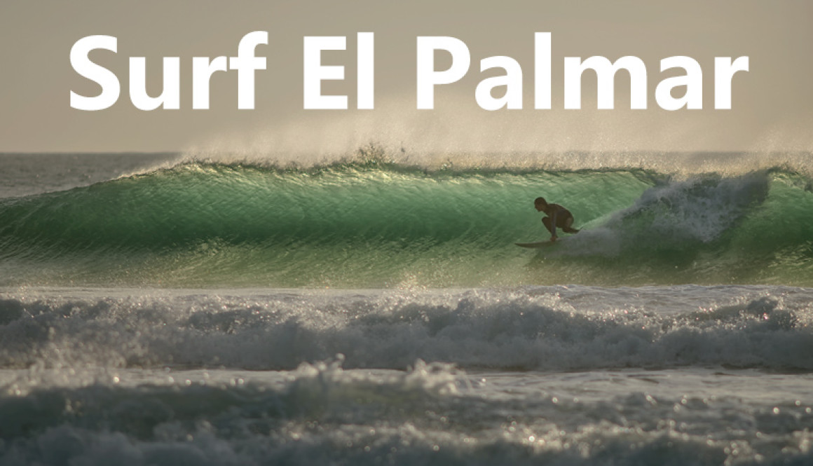 surfen el palmar